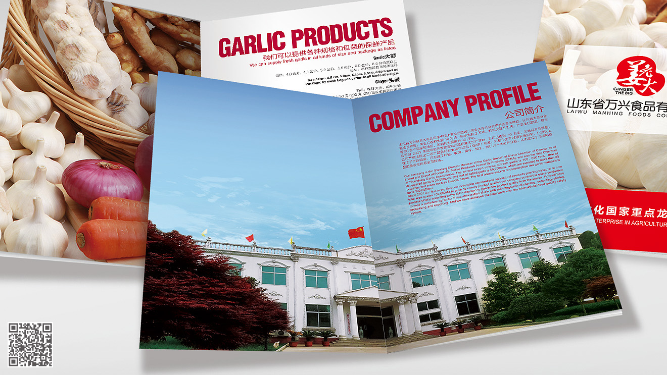 山東姜老大產(chǎn)品畫冊設(shè)計印刷