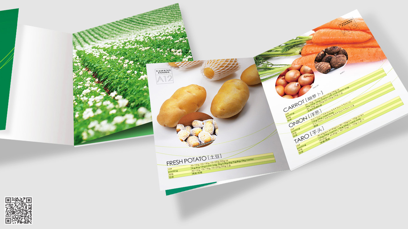 濟南畫冊設(shè)計