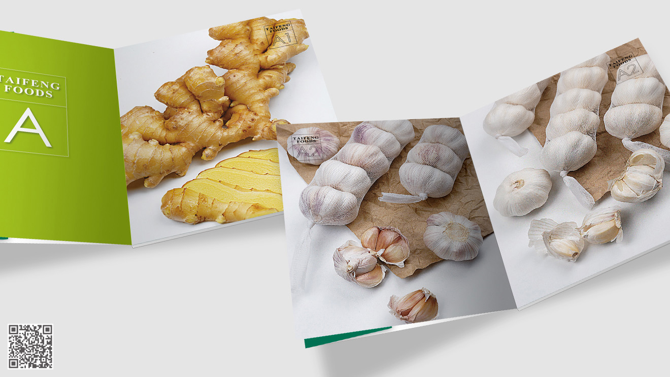 濟南畫冊設(shè)計