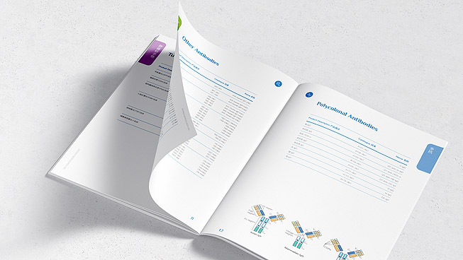 宣傳冊(cè)設(shè)計(jì)排版的技巧分享