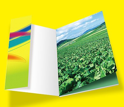 企業(yè)畫冊設(shè)計(jì)一頁多少錢？