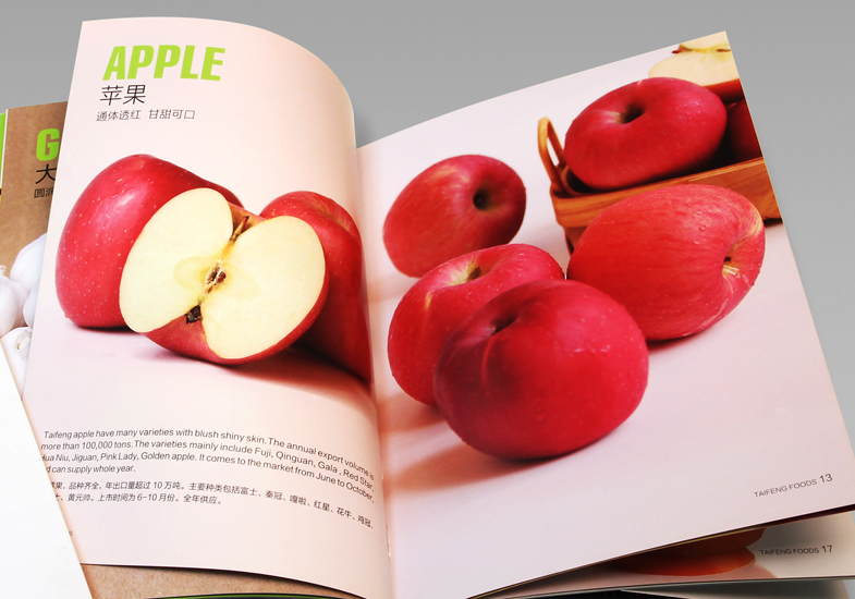 如何通過企業(yè)畫冊設(shè)計(jì)精準(zhǔn)傳達(dá)品牌形象